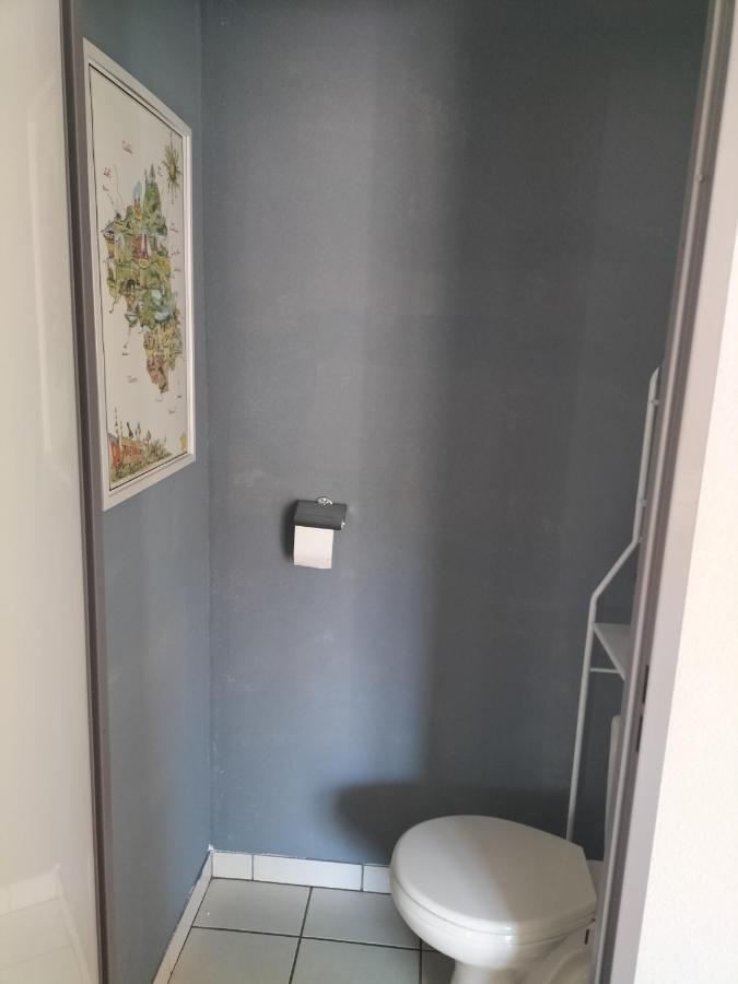 Ferienwohnung T2 Avec Piscine-Le Family 67 Pierrefiche  Exterior foto