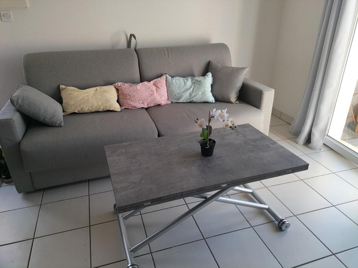 Ferienwohnung T2 Avec Piscine-Le Family 67 Pierrefiche  Exterior foto