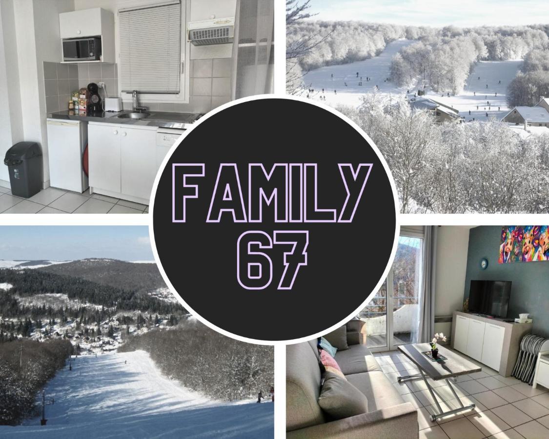 Ferienwohnung T2 Avec Piscine-Le Family 67 Pierrefiche  Exterior foto